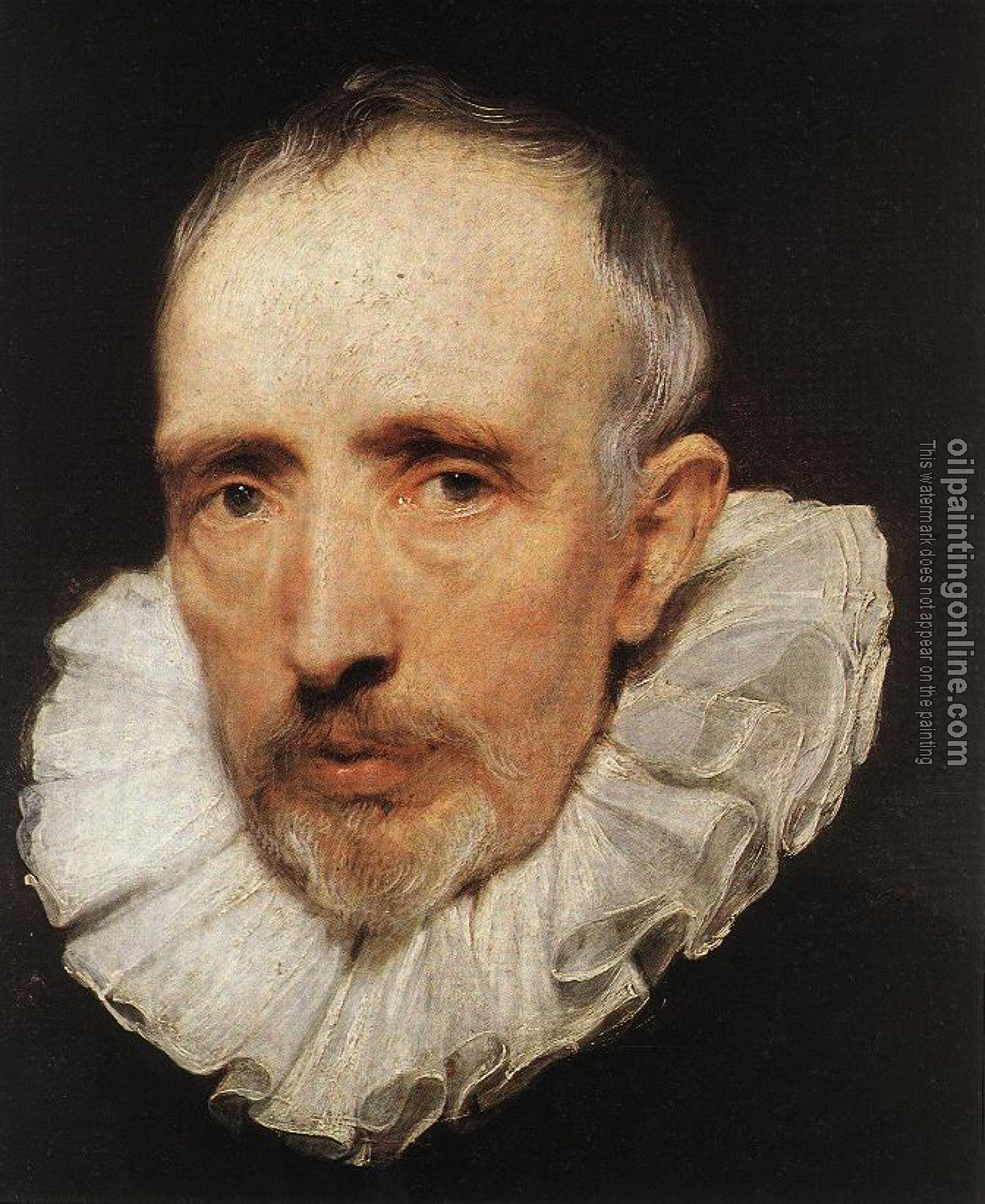 Dyck, Anthony van - Cornelis van der Geest